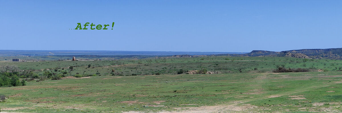 Open pasture after mesquite grubbing and brush clearing in Texas Panhandle