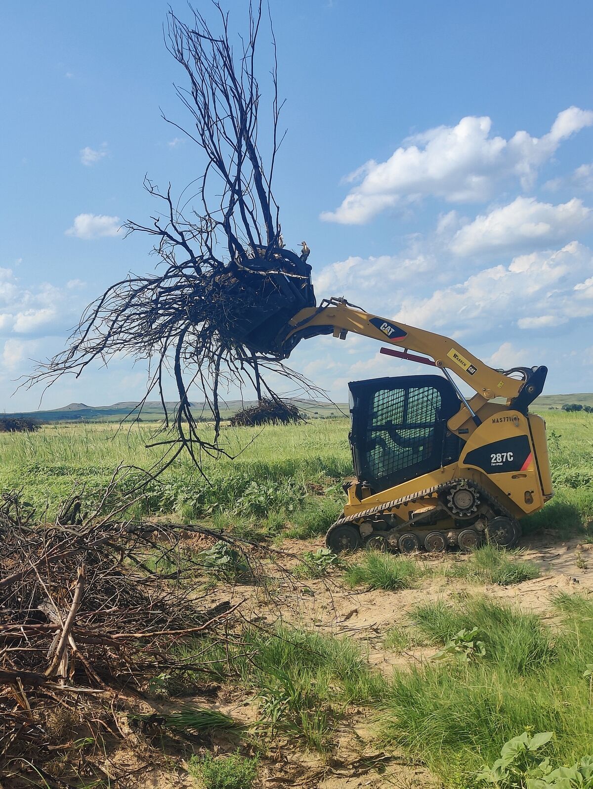 Skid loader grubbing salt cedar on Texas Panhandle pasture