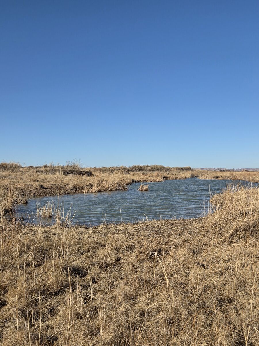 New livestock tank excavation in progress on Texas Panhandle ranch