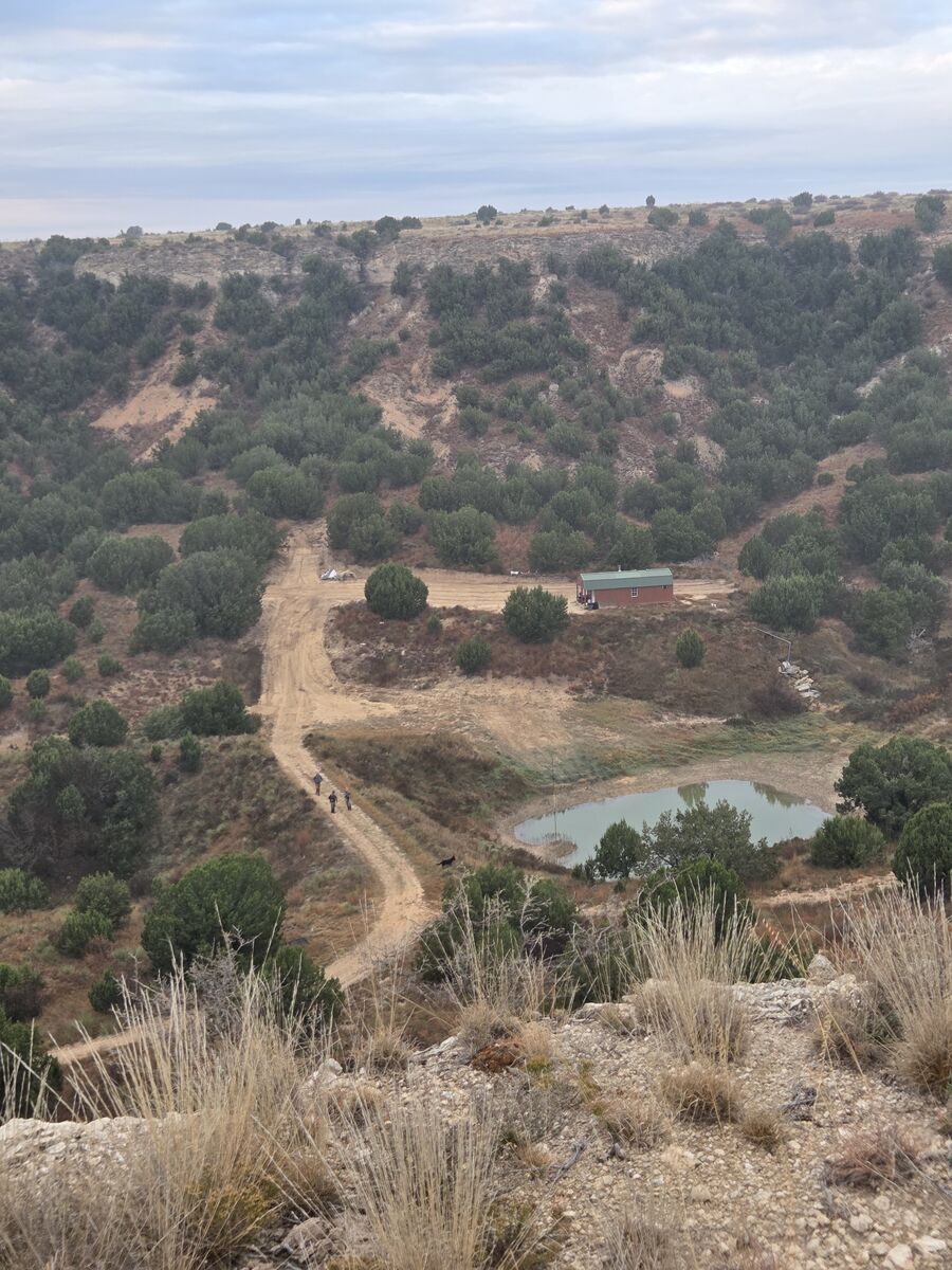 Hunting property development site with cleared access roads and habitat improvements