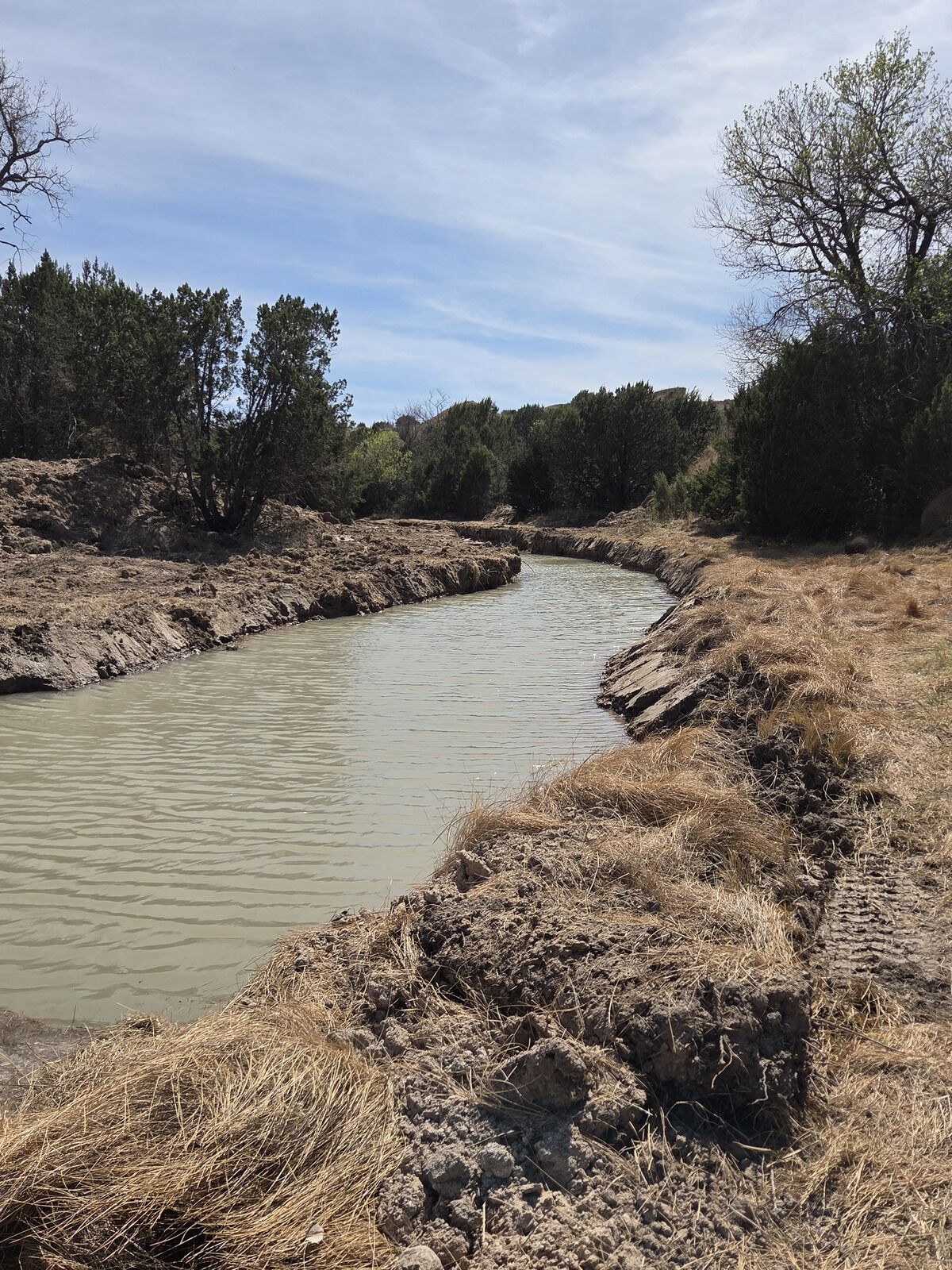 Cleared sendero and shooting lane on Texas Panhandle hunting property